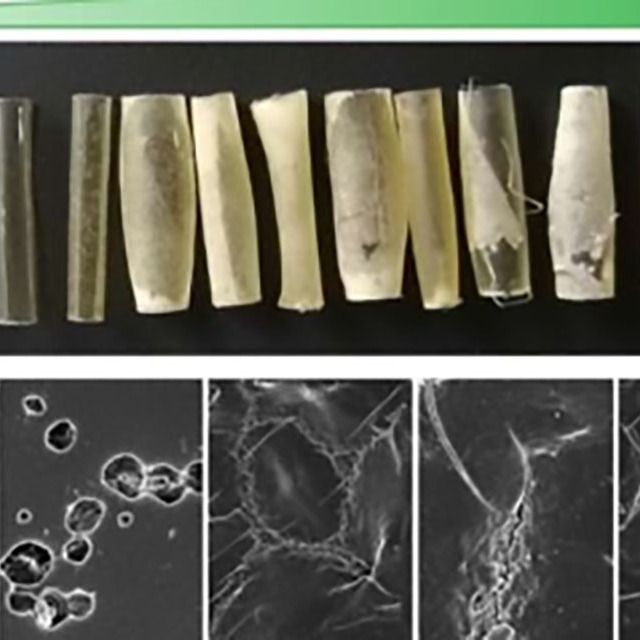 什么是降解塑料？