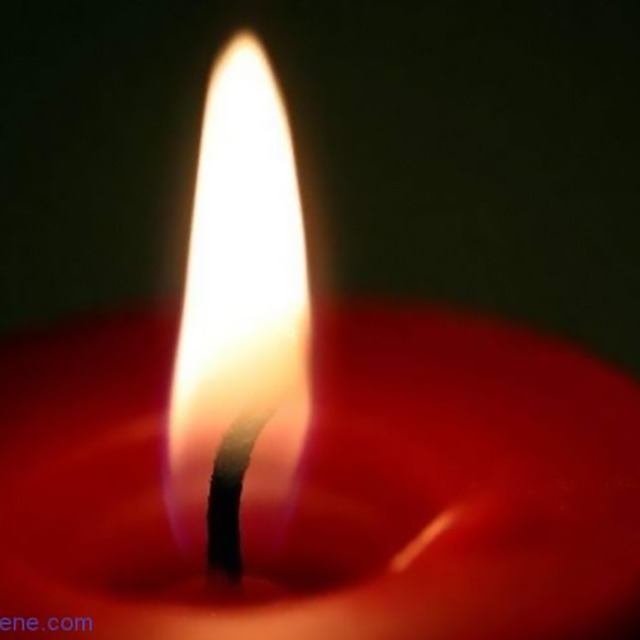 填料对阻燃PP的“灯芯效应”有什么不良影响？