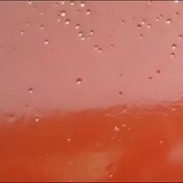 无卤阻燃PP的气孔、水滑及阻燃效果问题简析